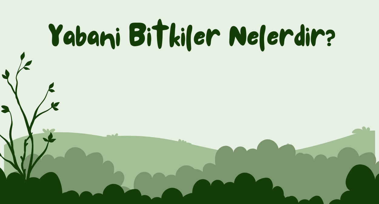 Yabani Bitkiler Nelerdir