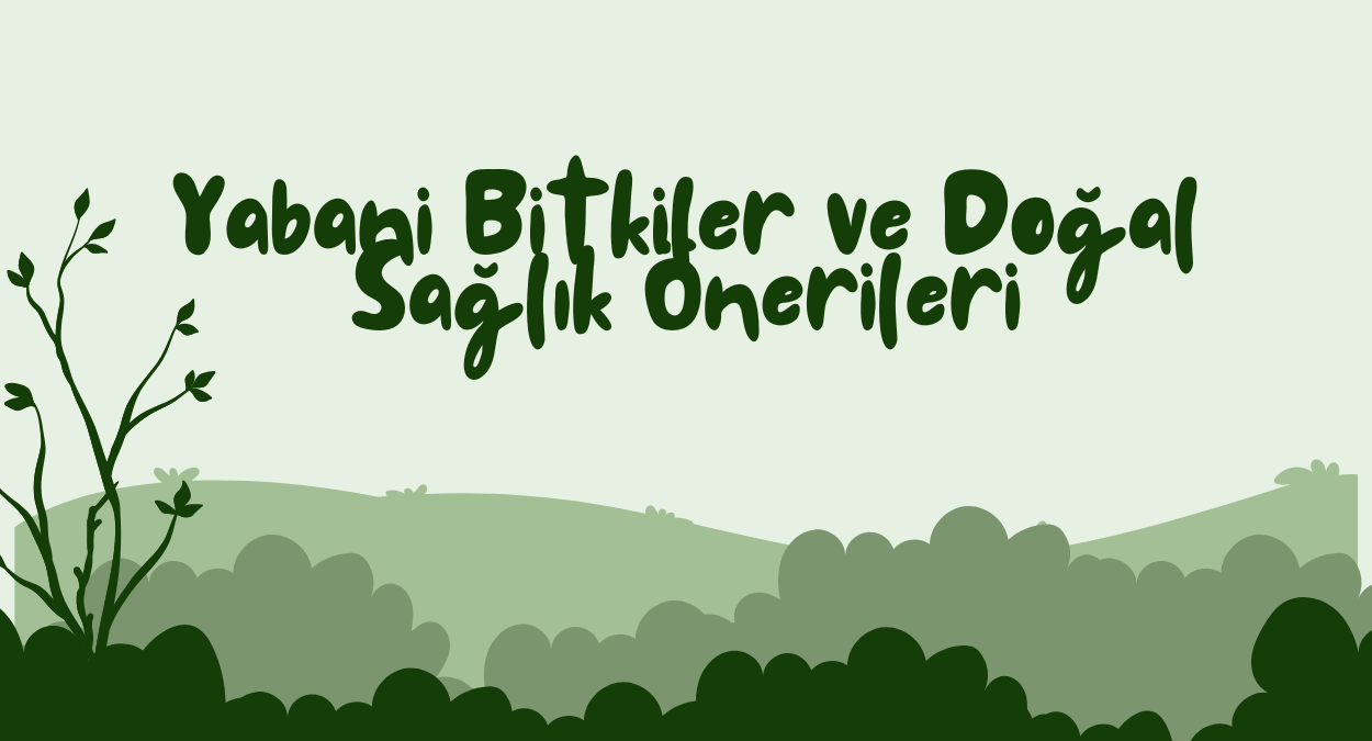 Yabani Bitkiler ve Dogal Saglik Onerileri